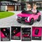 24V 2-Seater Ride-On Car Kids Electric Car with Remote Control and Music